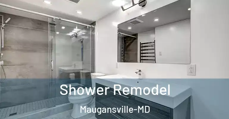 inner Bathroom imggen Shower Remodel Maugansville-MD