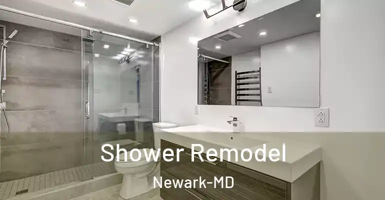 inner Bathroom imggen Shower Remodel Newark-MD