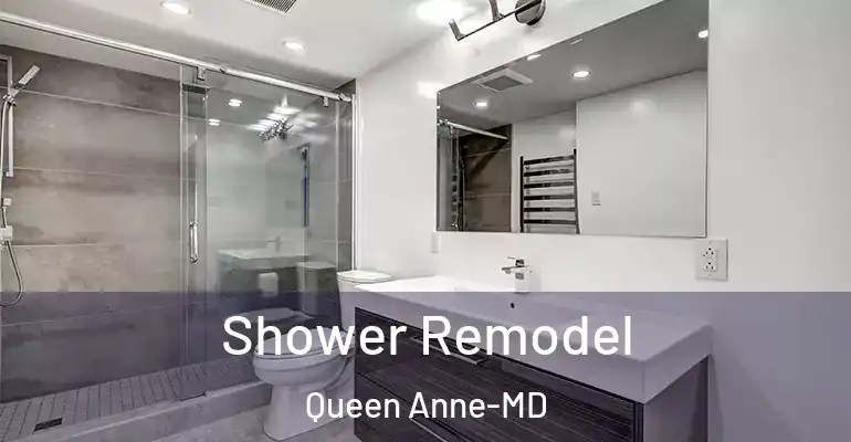 inner Bathroom imggen Shower Remodel Queen Anne-MD