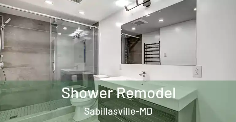 inner Bathroom imggen Shower Remodel Sabillasville-MD