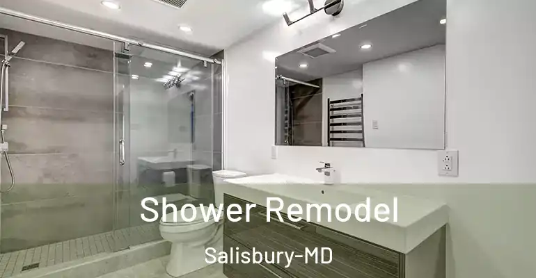inner Bathroom imggen Shower Remodel Salisbury-MD