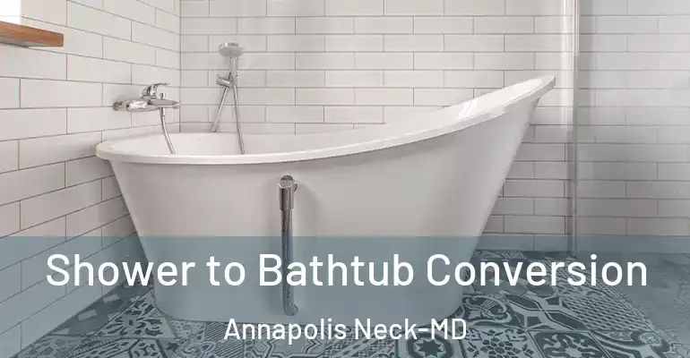 inner Bathroom imggen Shower to Bathtub Conversion Annapolis Neck-MD