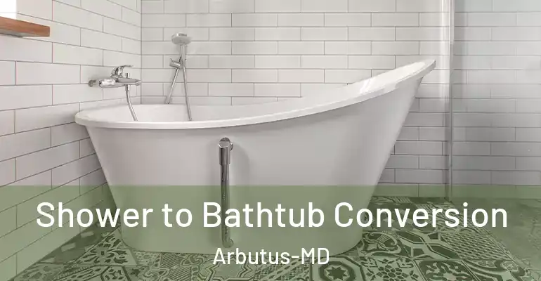 inner Bathroom imggen Shower to Bathtub Conversion Arbutus-MD