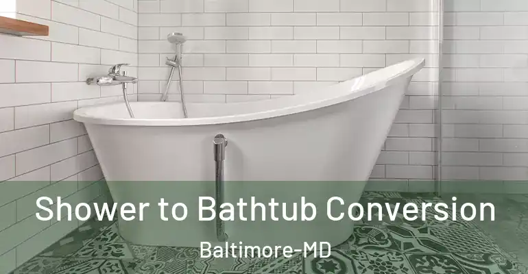 inner Bathroom imggen Shower to Bathtub Conversion Baltimore-MD