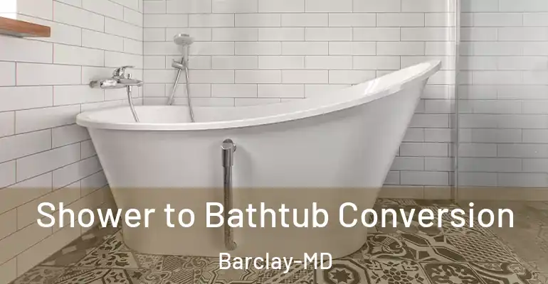 inner Bathroom imggen Shower to Bathtub Conversion Barclay-MD