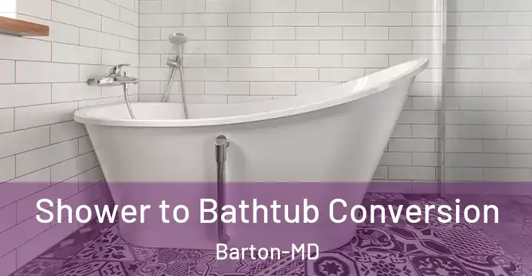 inner Bathroom imggen Shower to Bathtub Conversion Barton-MD