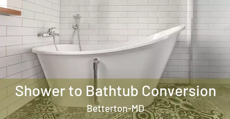 inner Bathroom imggen Shower to Bathtub Conversion Betterton-MD
