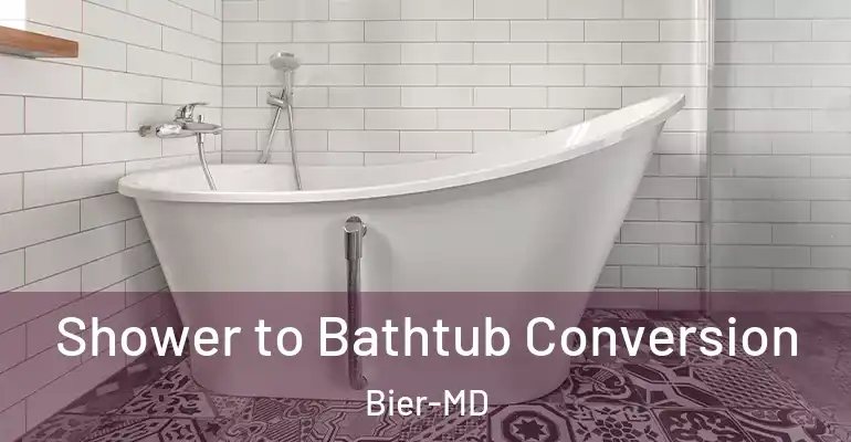 inner Bathroom imggen Shower to Bathtub Conversion Bier-MD