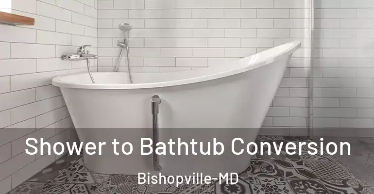 inner Bathroom imggen Shower to Bathtub Conversion Bishopville-MD