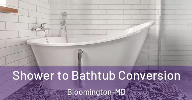 inner Bathroom imggen Shower to Bathtub Conversion Bloomington-MD
