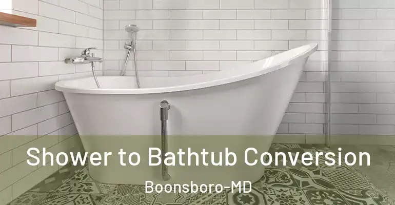 inner Bathroom imggen Shower to Bathtub Conversion Boonsboro-MD