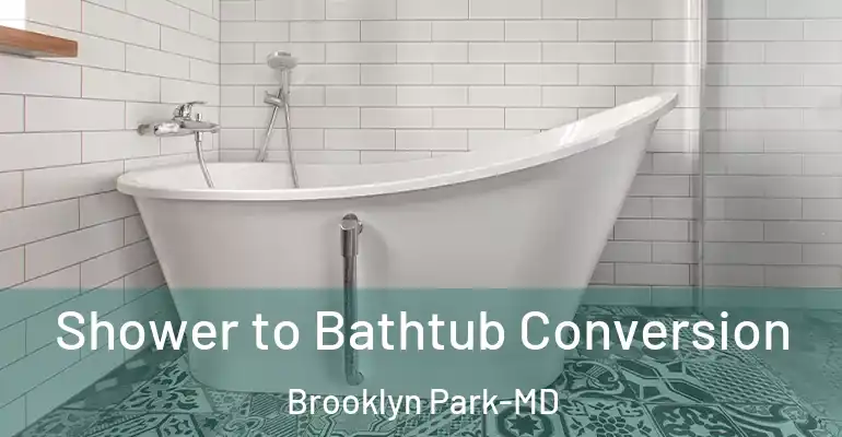 inner Bathroom imggen Shower to Bathtub Conversion Brooklyn Park-MD