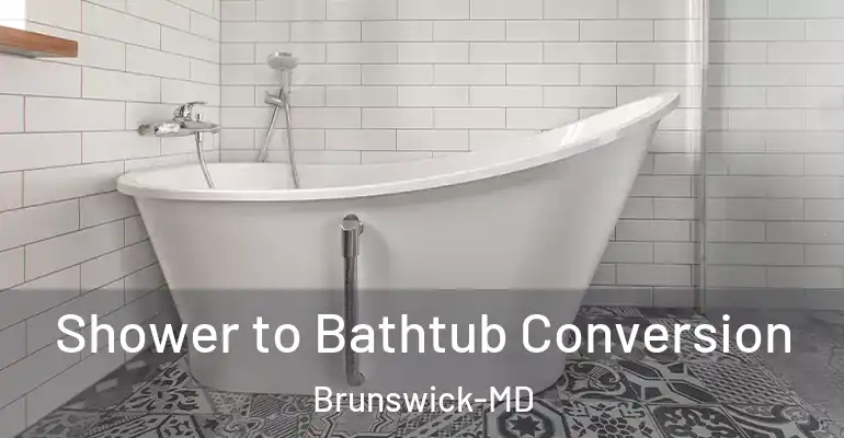 inner Bathroom imggen Shower to Bathtub Conversion Brunswick-MD