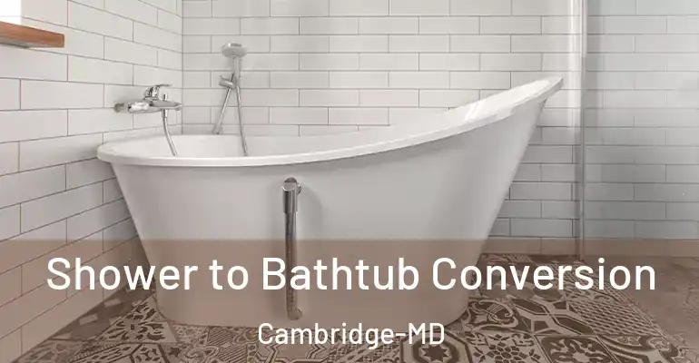 inner Bathroom imggen Shower to Bathtub Conversion Cambridge-MD