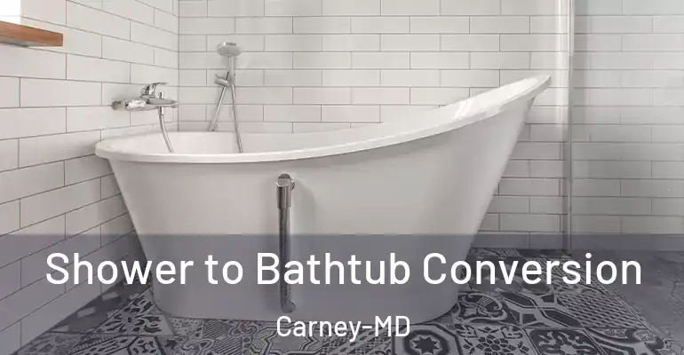 inner Bathroom imggen Shower to Bathtub Conversion Carney-MD
