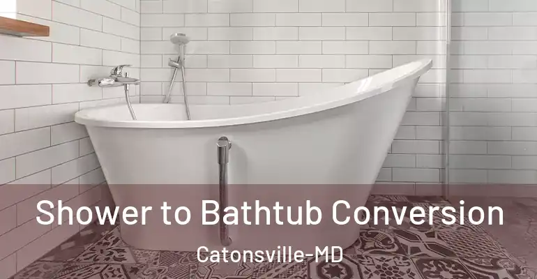 inner Bathroom imggen Shower to Bathtub Conversion Catonsville-MD