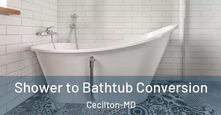 inner Bathroom imggen Shower to Bathtub Conversion Cecilton-MD