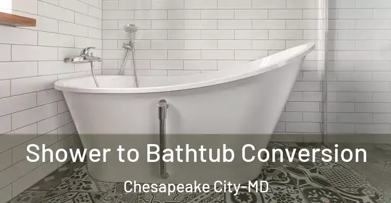 inner Bathroom imggen Shower to Bathtub Conversion Chesapeake City-MD