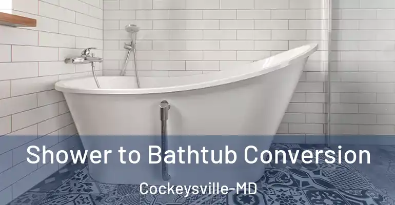 inner Bathroom imggen Shower to Bathtub Conversion Cockeysville-MD