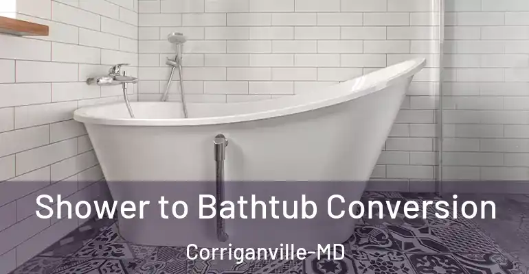 inner Bathroom imggen Shower to Bathtub Conversion Corriganville-MD