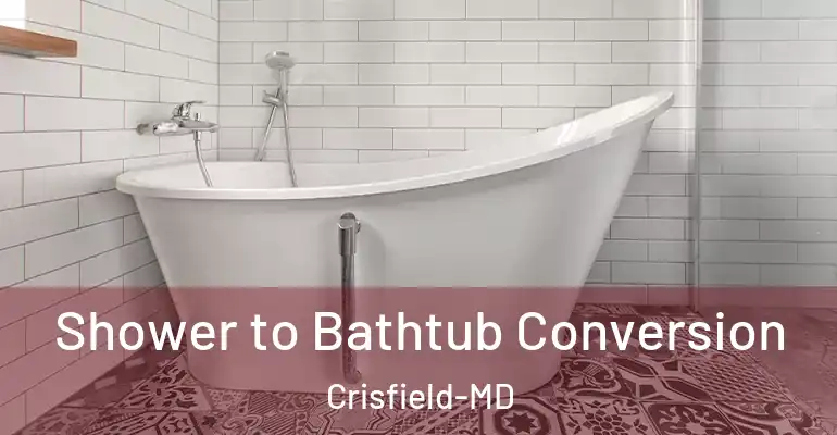 inner Bathroom imggen Shower to Bathtub Conversion Crisfield-MD