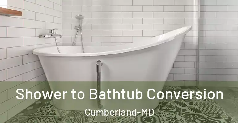 inner Bathroom imggen Shower to Bathtub Conversion Cumberland-MD