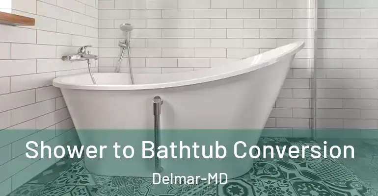inner Bathroom imggen Shower to Bathtub Conversion Delmar-MD