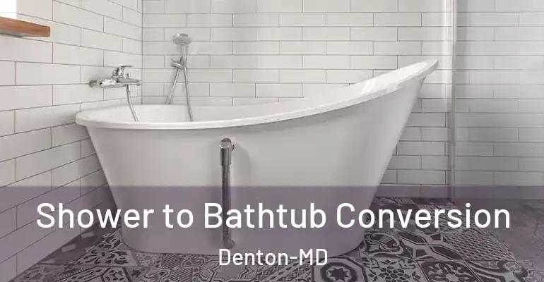 inner Bathroom imggen Shower to Bathtub Conversion Denton-MD