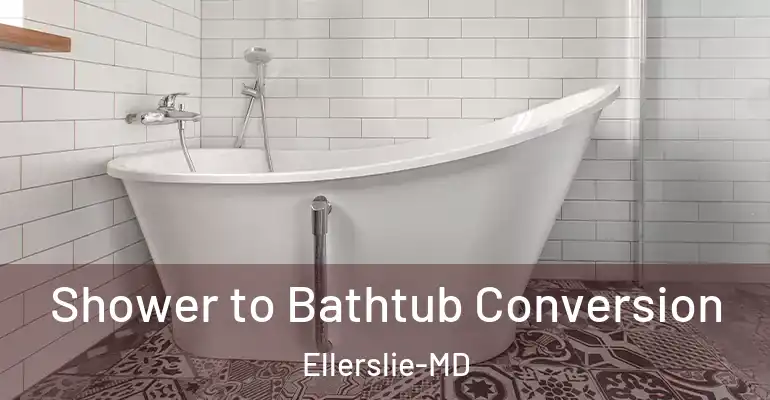 inner Bathroom imggen Shower to Bathtub Conversion Ellerslie-MD