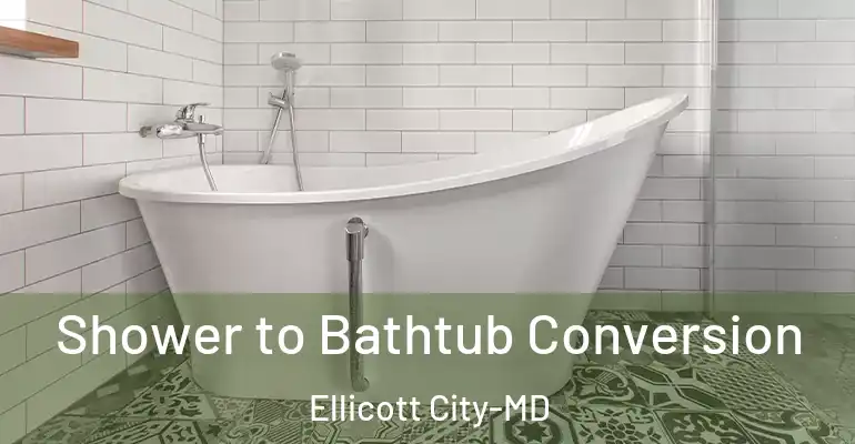 inner Bathroom imggen Shower to Bathtub Conversion Ellicott City-MD