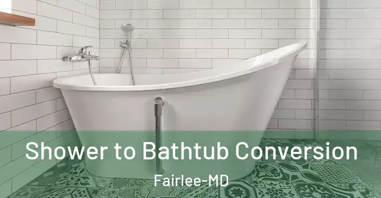 inner Bathroom imggen Shower to Bathtub Conversion Fairlee-MD