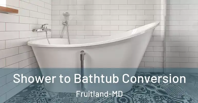 inner Bathroom imggen Shower to Bathtub Conversion Fruitland-MD
