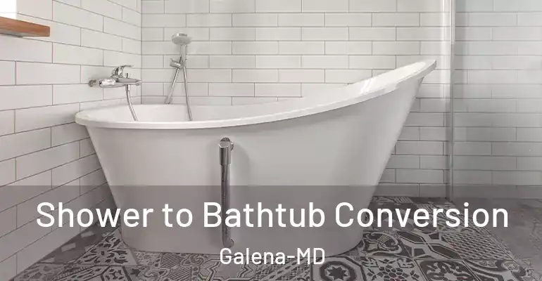 inner Bathroom imggen Shower to Bathtub Conversion Galena-MD