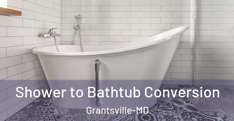 inner Bathroom imggen Shower to Bathtub Conversion Grantsville-MD