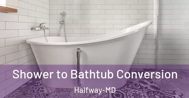 inner Bathroom imggen Shower to Bathtub Conversion Halfway-MD
