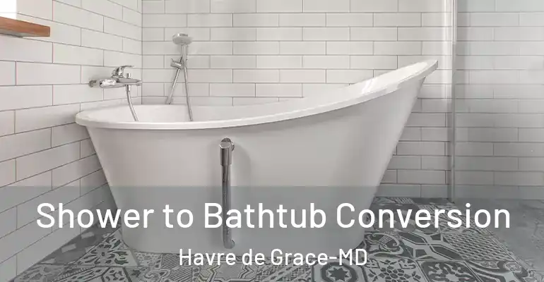 inner Bathroom imggen Shower to Bathtub Conversion Havre de Grace-MD