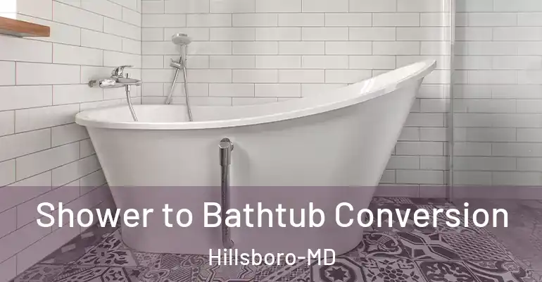 inner Bathroom imggen Shower to Bathtub Conversion Hillsboro-MD