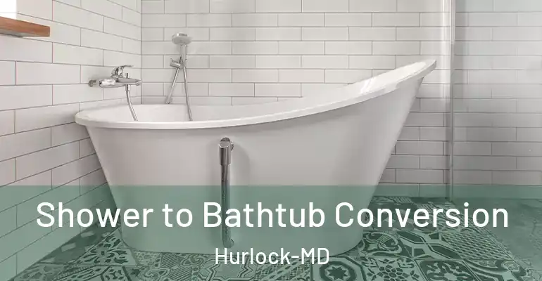 inner Bathroom imggen Shower to Bathtub Conversion Hurlock-MD
