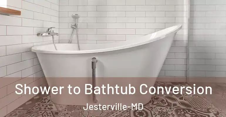 inner Bathroom imggen Shower to Bathtub Conversion Jesterville-MD