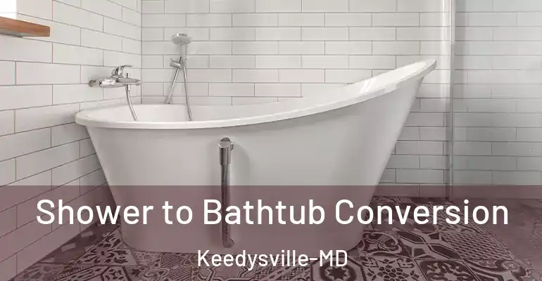 inner Bathroom imggen Shower to Bathtub Conversion Keedysville-MD