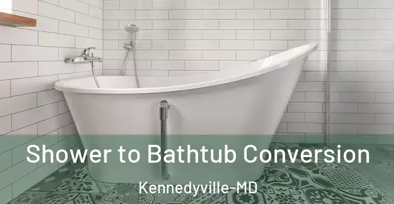 inner Bathroom imggen Shower to Bathtub Conversion Kennedyville-MD