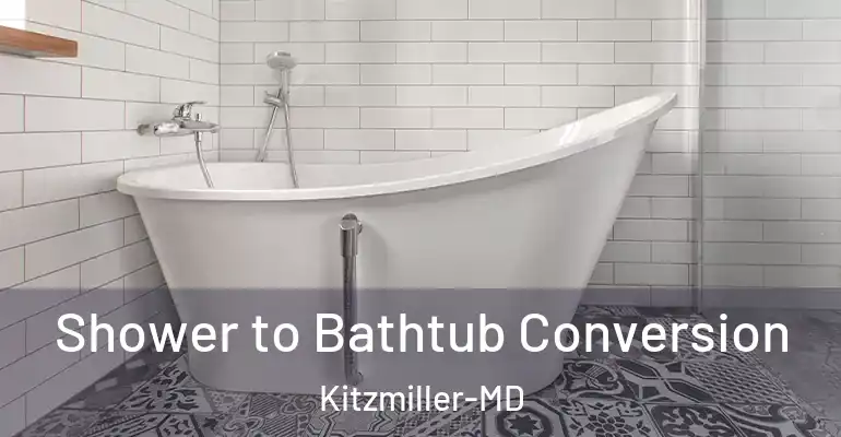 inner Bathroom imggen Shower to Bathtub Conversion Kitzmiller-MD