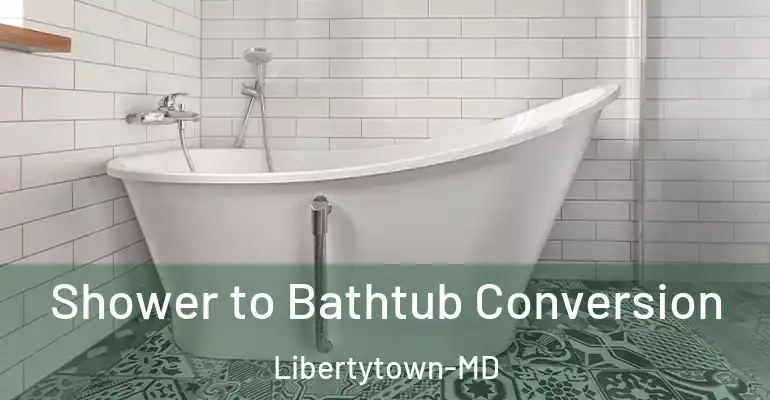 inner Bathroom imggen Shower to Bathtub Conversion Libertytown-MD
