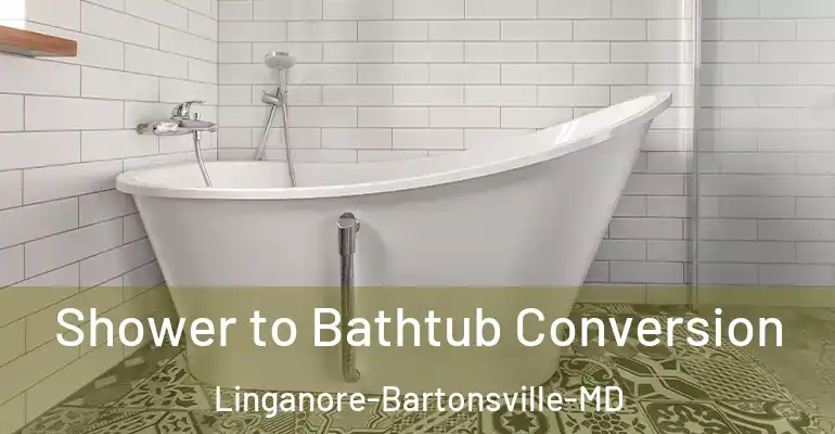 inner Bathroom imggen Shower to Bathtub Conversion Linganore-Bartonsville-MD