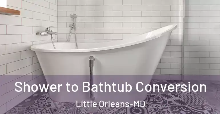 inner Bathroom imggen Shower to Bathtub Conversion Little Orleans-MD