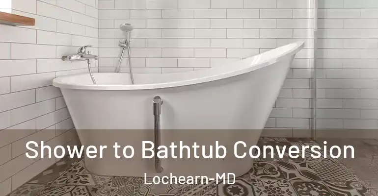 inner Bathroom imggen Shower to Bathtub Conversion Lochearn-MD