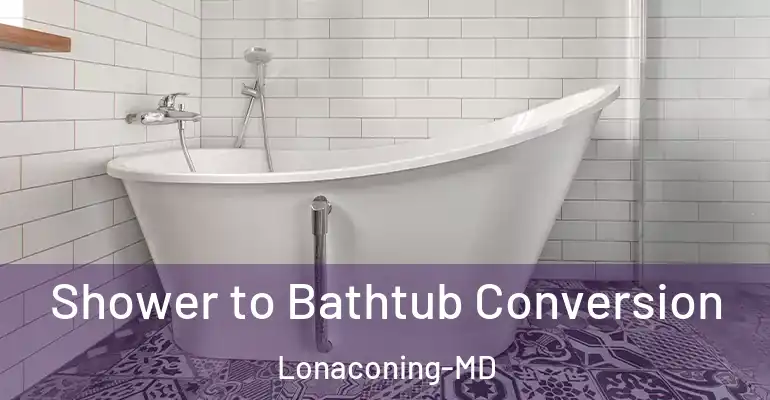 inner Bathroom imggen Shower to Bathtub Conversion Lonaconing-MD