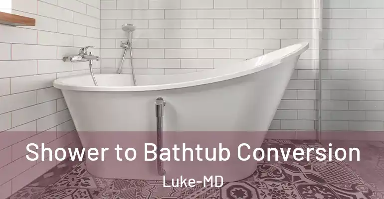 inner Bathroom imggen Shower to Bathtub Conversion Luke-MD