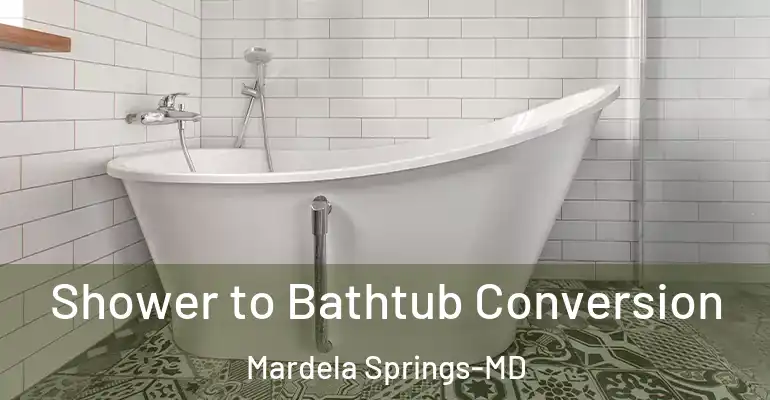 inner Bathroom imggen Shower to Bathtub Conversion Mardela Springs-MD