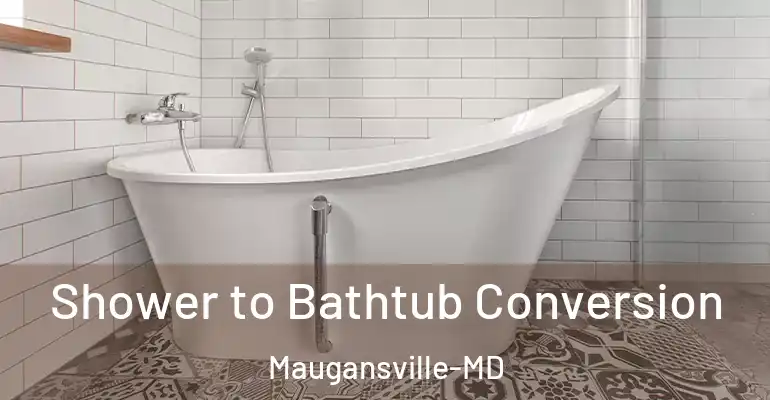 inner Bathroom imggen Shower to Bathtub Conversion Maugansville-MD
